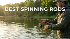 Best Spinning Rods