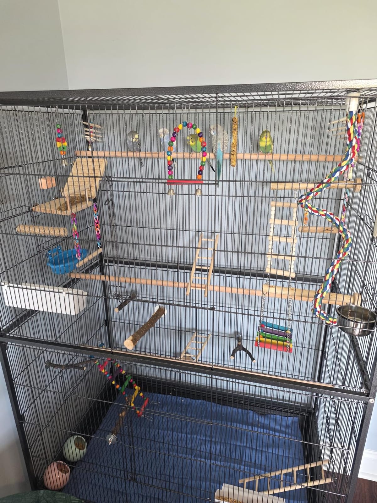 Prevue Hendryx Pet Products Wrought Iron Flight Cage - Big Rolling Bird Cage for Parakeets, Cockatiels, Conures, Lovebirds, Canaries, Finches, Parrotlets, & Caiques, 5 Ft - X-Large, Hammertone Black customer photo 1
