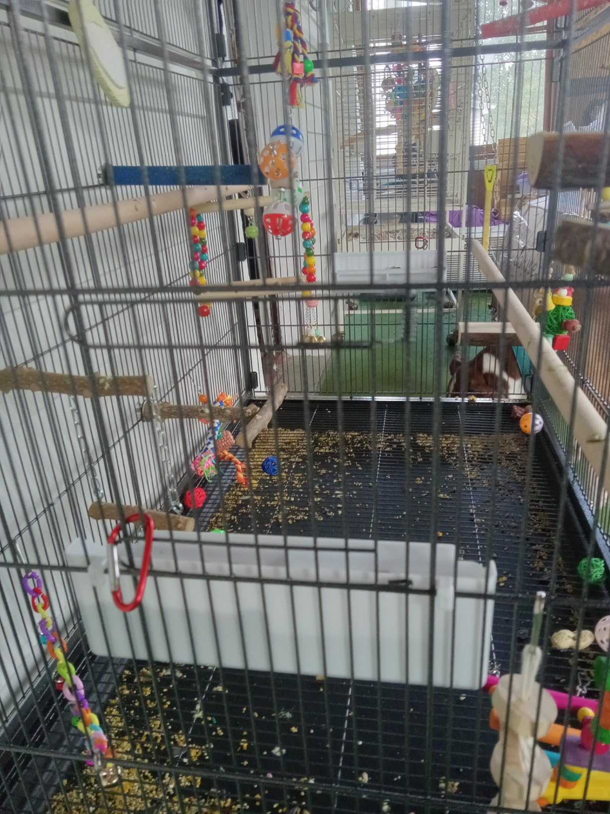 Prevue Hendryx Pet Products Wrought Iron Flight Cage - Big Rolling Bird Cage for Parakeets, Cockatiels, Conures, Lovebirds, Canaries, Finches, Parrotlets, & Caiques, 5 Ft - X-Large, Hammertone Black customer photo 2