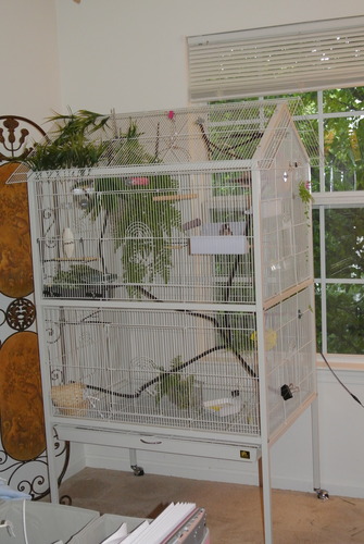 Prevue Pet Products Wrought Iron Flight Cage with Stand, Large Birdcage for Pets, Metal Cage Standing Birdcage, Black Hammertone Finish customer photo 1