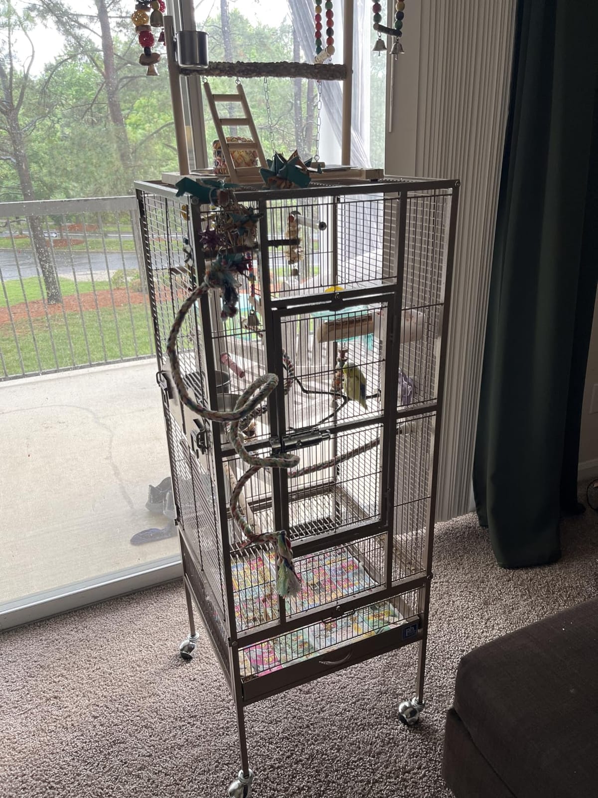 Prevue Pet Products Wrought Iron Flight Cage with Stand, Large Birdcage for Pets, Metal Cage Standing Birdcage, Black Hammertone Finish customer photo 2