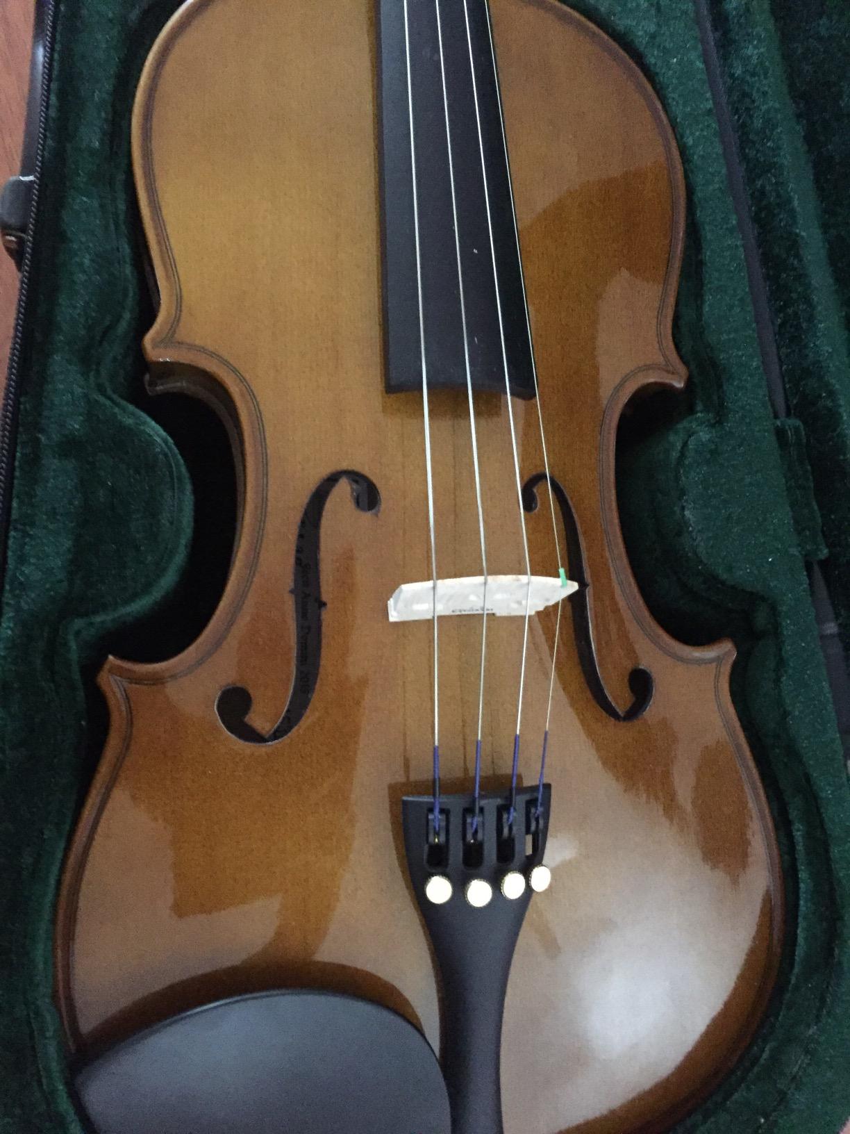 Cremona SV-130 Premier Novice Violin Outfit - 4/4 Full Size, Traditional Brown, Hand-Carved Spruce & Maple, Ebony Fittings, Prelude Strings, Kaufman-Style Chinrest, Fine Tuners customer photo 2