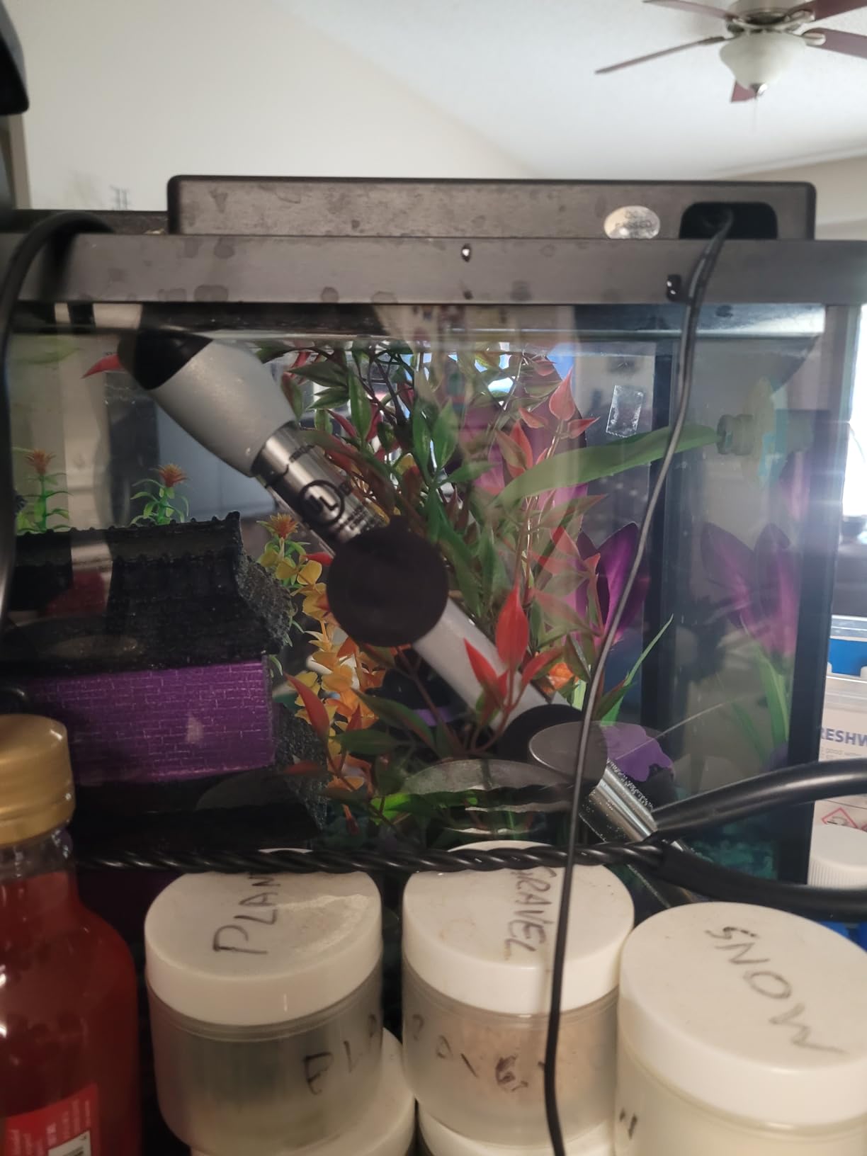 Fluval M 50-Watt Submersible Aquarium Heater for Fresh & Saltwater Tanks customer photo 2