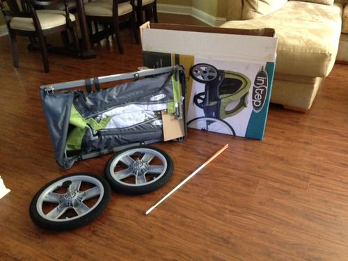 Instep Sync Single Seat Bike Child Trailer, Max Weight 40 lbs., 5-Point Harness, Folding Frame, Quick Release Wheels, Easy Storage, Bug Screen & Weather Shield, Green/Grey customer photo 2