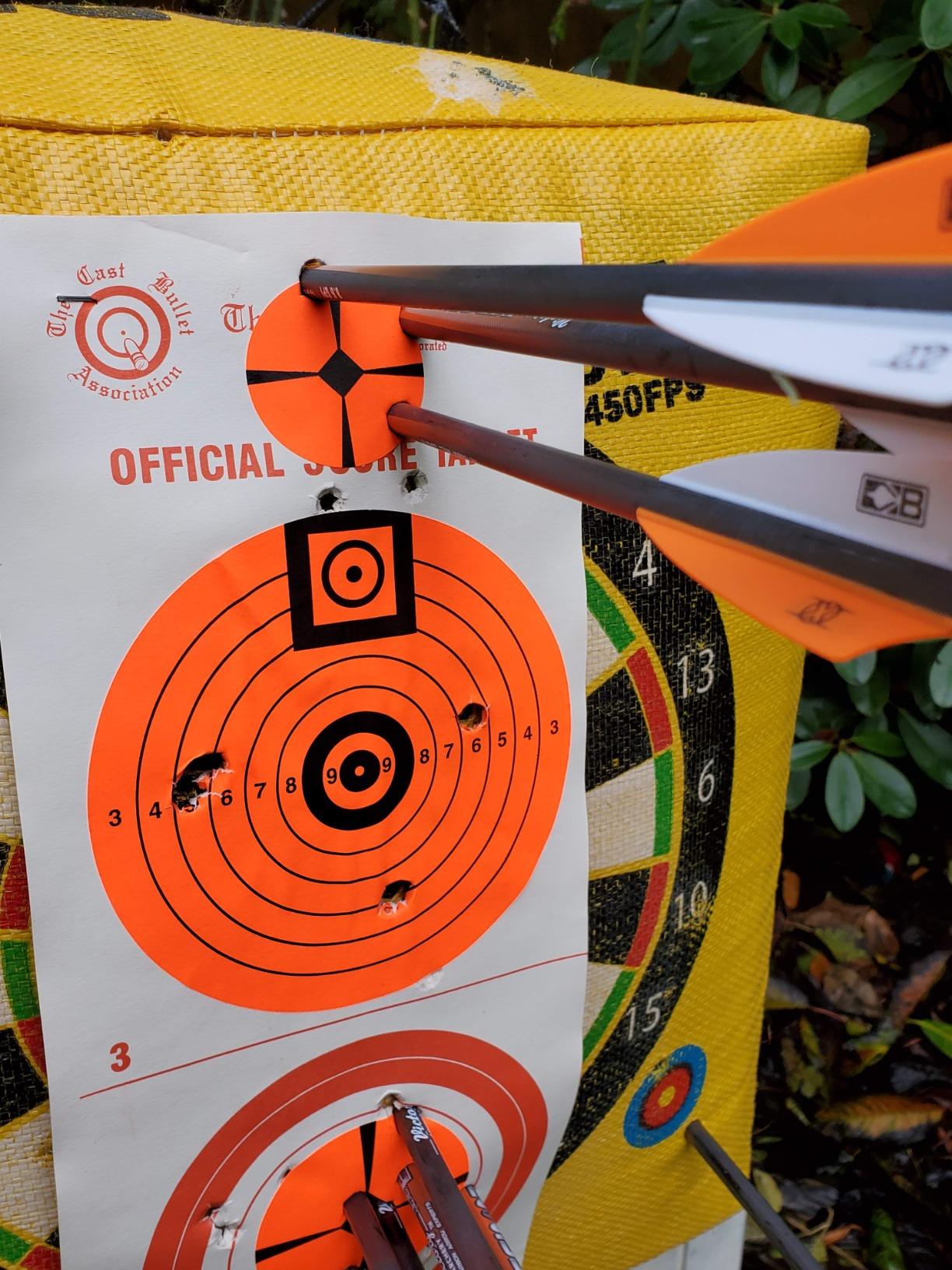 Morrell Double Duty 450 FPS Cube Field Point Archery Bag Target, Yellow customer photo 1