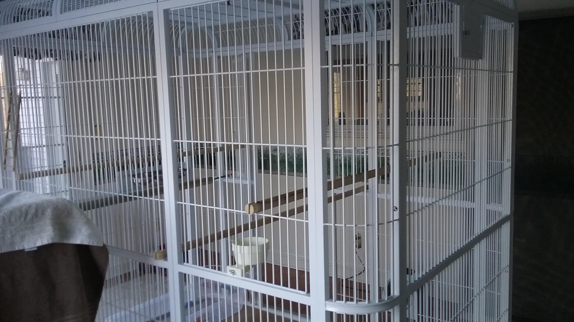 A&E Cage Co WI8662 Walk-in Bird Aviary for Parrots, 86