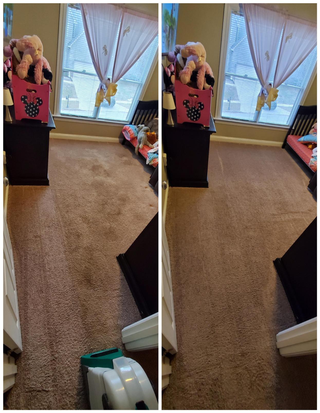 BISSELL Big Green Professional Carpet Cleaner, XL DirtLifter PowerBrush customer photo 1