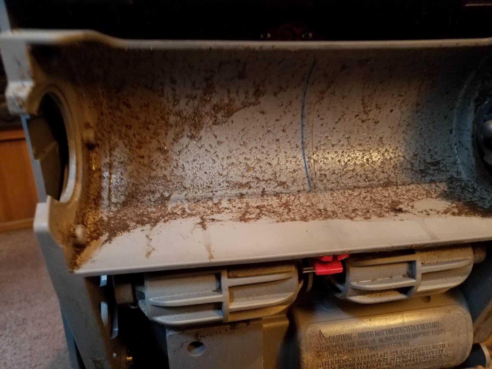 BISSELL Big Green Professional Carpet Cleaner, XL DirtLifter PowerBrush customer photo 2
