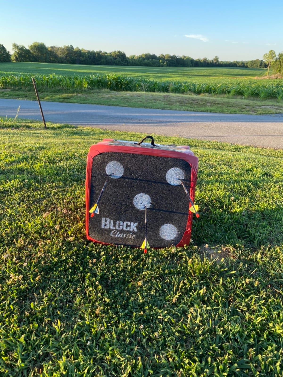 BLOCK Classic Layered Foam Archery Target, 18” x 18” x 13.5”, 2-Sided Shooting, Unique Open Layer Design Stops Field Points and Broadheads with Friction Not Force, Easy Arrow Removal, Top Carry Handle customer photo 2