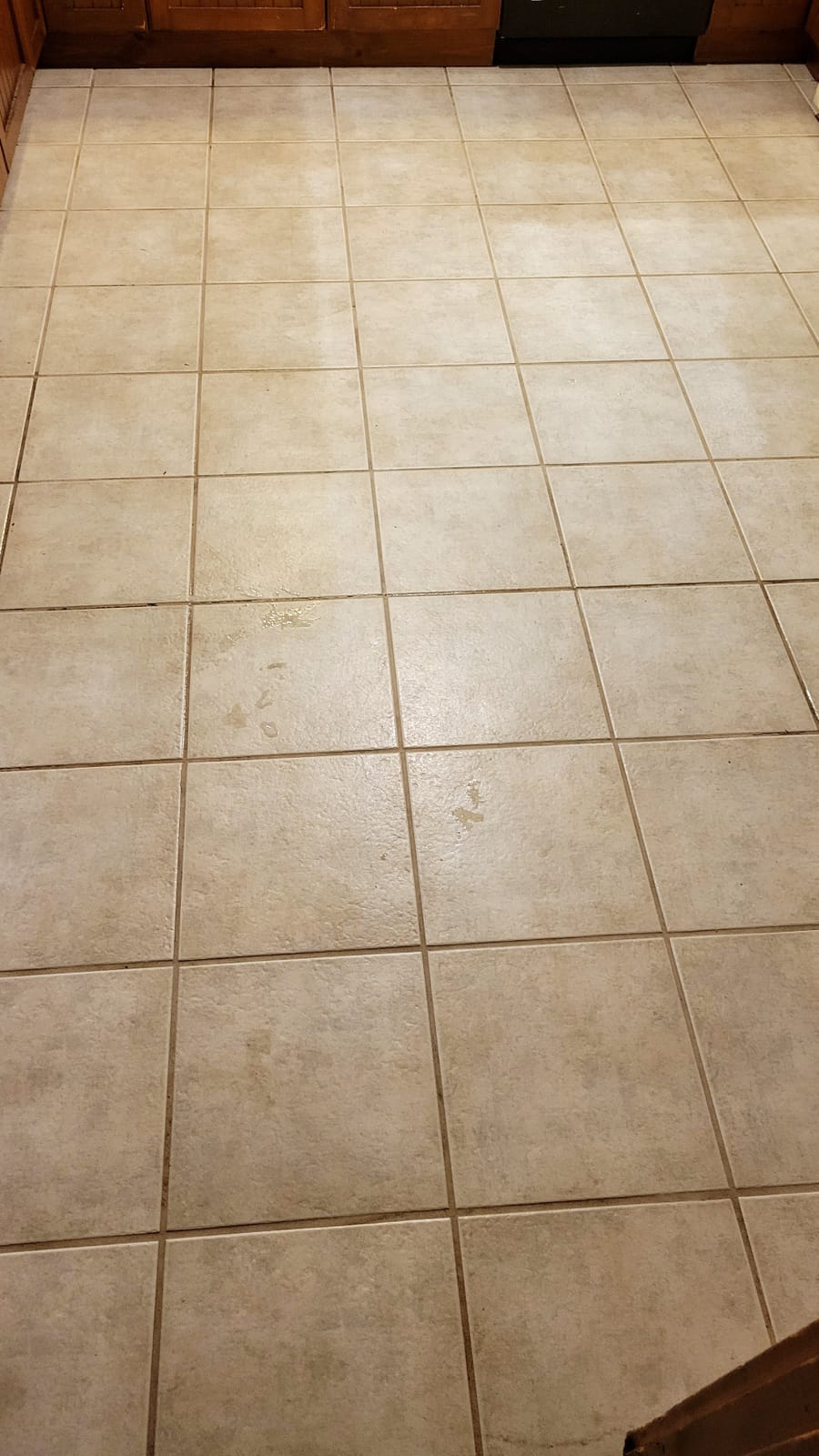 Oreck Orbiter Hard Floor Cleaner, Multi Purpose Floor Cleaning Machine, Random Orbit Power, Versatile and Low Maintenance customer photo 2