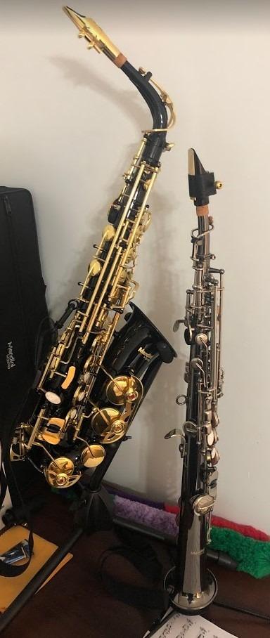 Mendini By Cecilio Eb Alto Saxophone Kit for Beginner - Gold Red | Alto Saxophone Set with Tuner, Mouthpiece, Case, 10 Reeds, Grease, Cloth, Rod, Gloves, Strap & Book customer photo 2