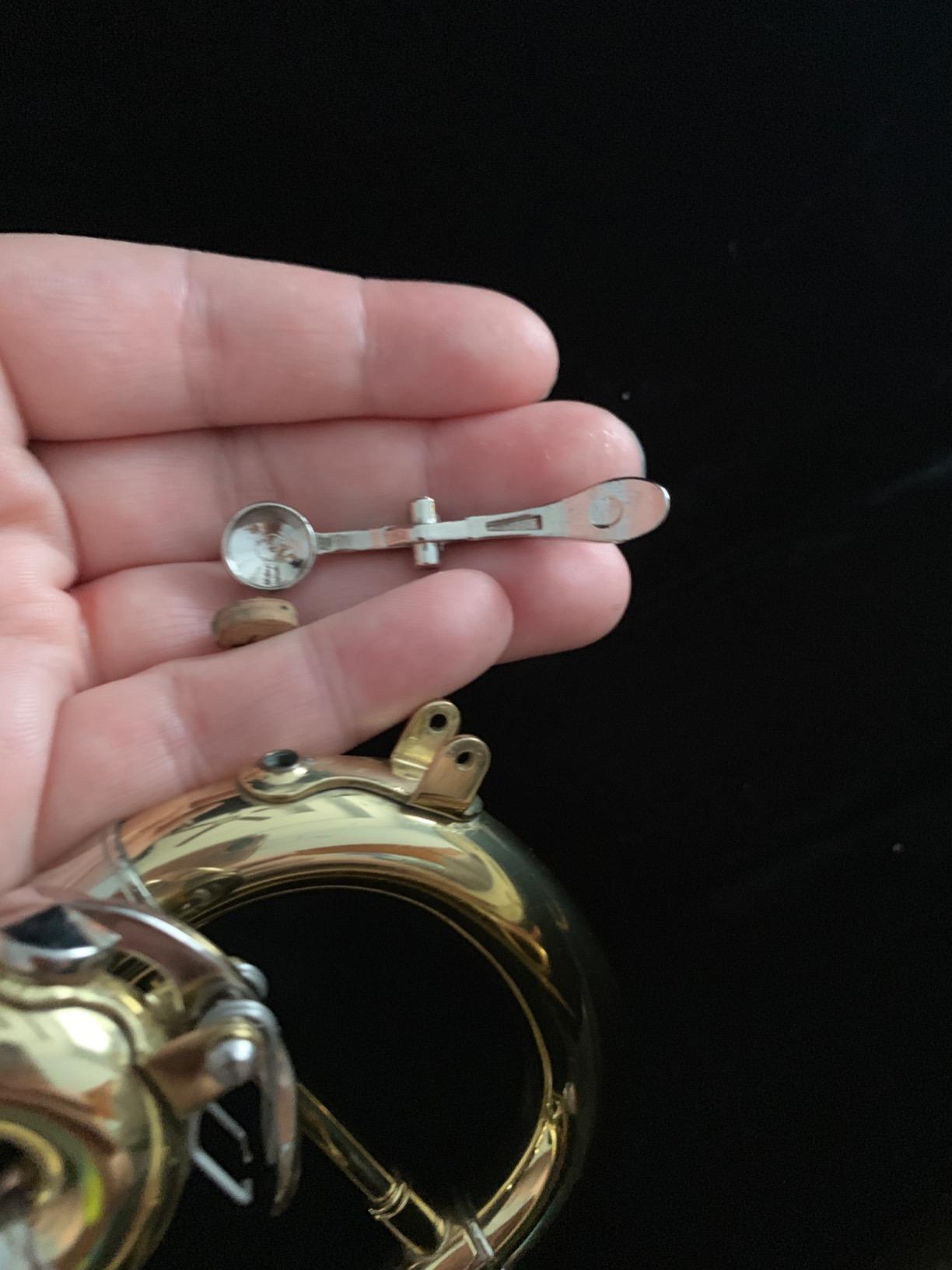 Jean Paul TR-330 Student Bb Trumpet, Two-Piece Yellow Brass Bell, Gold Lacquer Finish customer photo 2