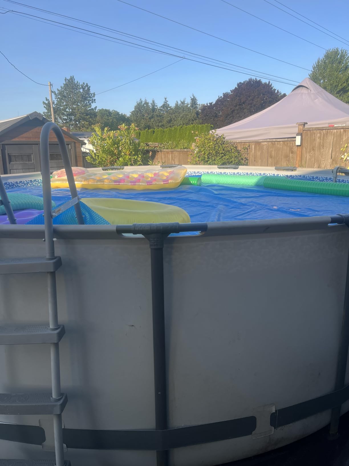 INTEX 28014E Solar Pool Cover: for 16ft Round Easy Set and Metal Frame Pools - Insulates Pool Water - Reduces Water Evaporation - Keeps Debris Out - Reduces Chemical Consumption customer photo 1