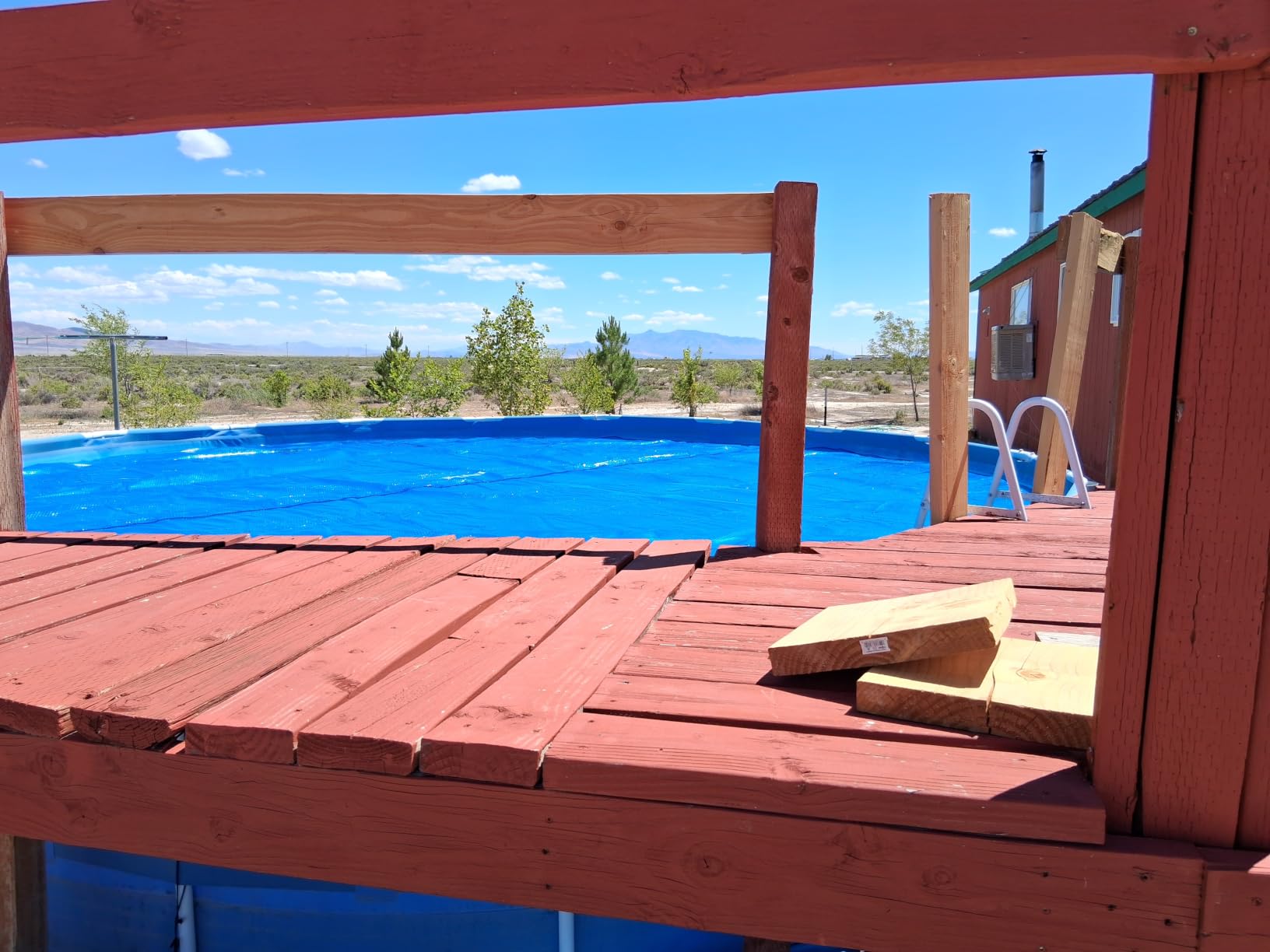 INTEX 28014E Solar Pool Cover: for 16ft Round Easy Set and Metal Frame Pools - Insulates Pool Water - Reduces Water Evaporation - Keeps Debris Out - Reduces Chemical Consumption customer photo 2