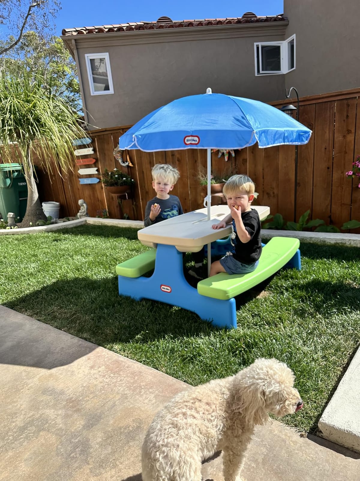 Little Tikes Easy Store Picnic Table with Umbrella, Multi Color, 42.00''L x 38.00''W x 19.75''H customer photo 2