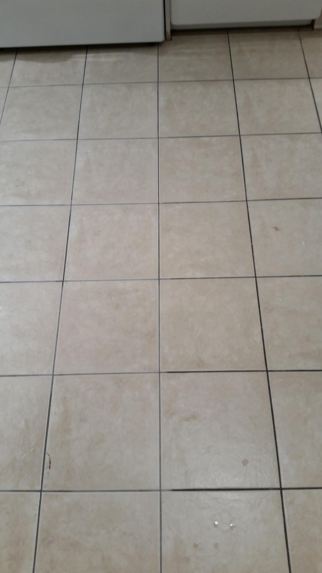 Hoover FloorMate Deluxe Hard Floor Cleaner Machine, Wash and Dry Mode customer photo 1