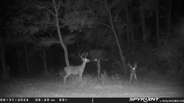 Banks Outdoors Feedbank 300 lb. Capacity Deer and Wildlife Feeder customer photo 2