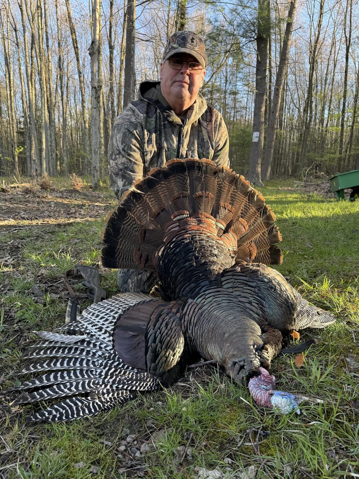 Avian X LCD Breeder Hen Turkey Decoy customer photo 2