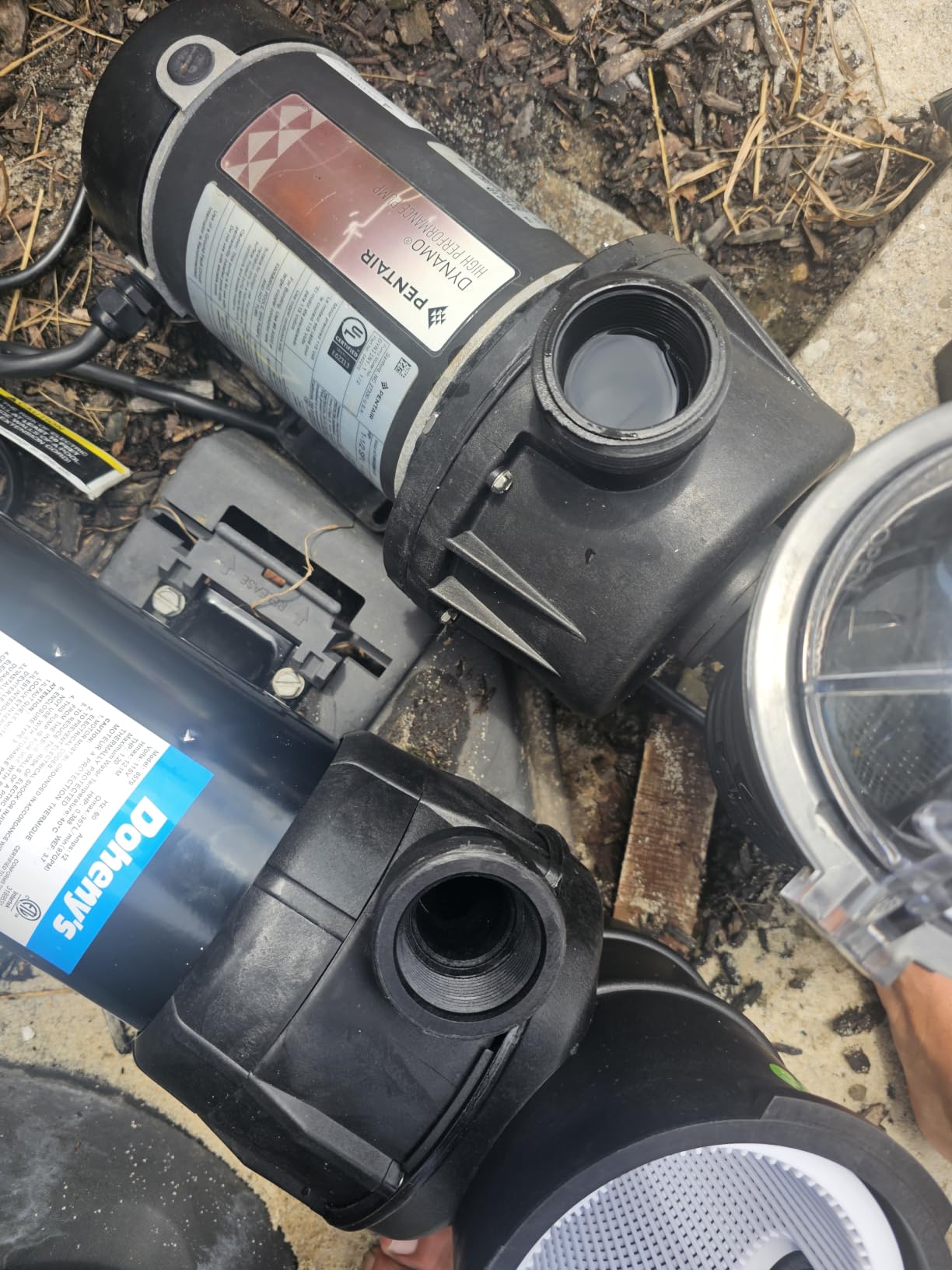 Doheny's 1.5 HP Above Ground Swimming Pool Pump | 115V, 83 GPM (1.2 THP), Stainless Steel Shaft, Reinforced Thermoplastic customer photo 1