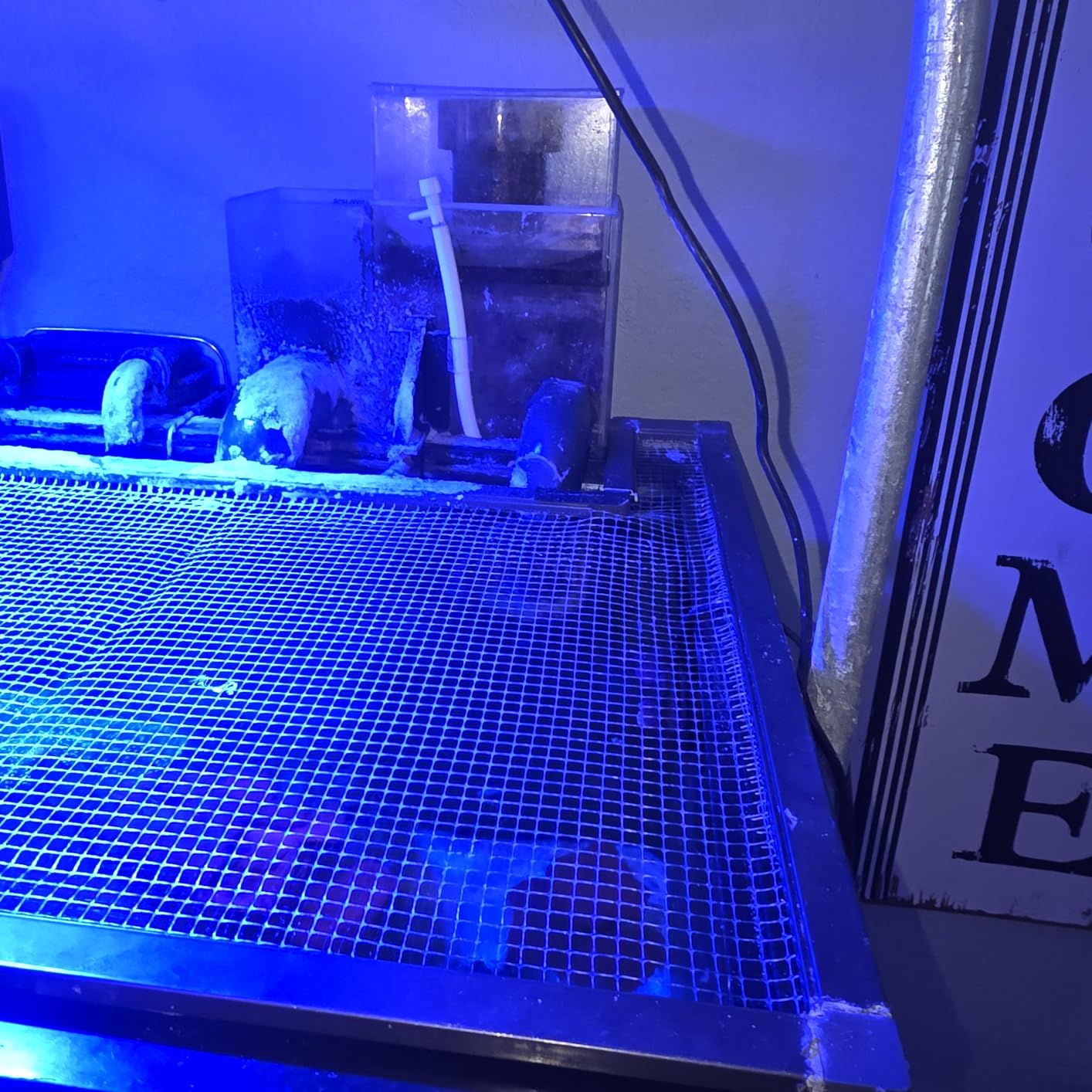 OCTO Classic BH-2000 Protein Skimmer customer photo 1