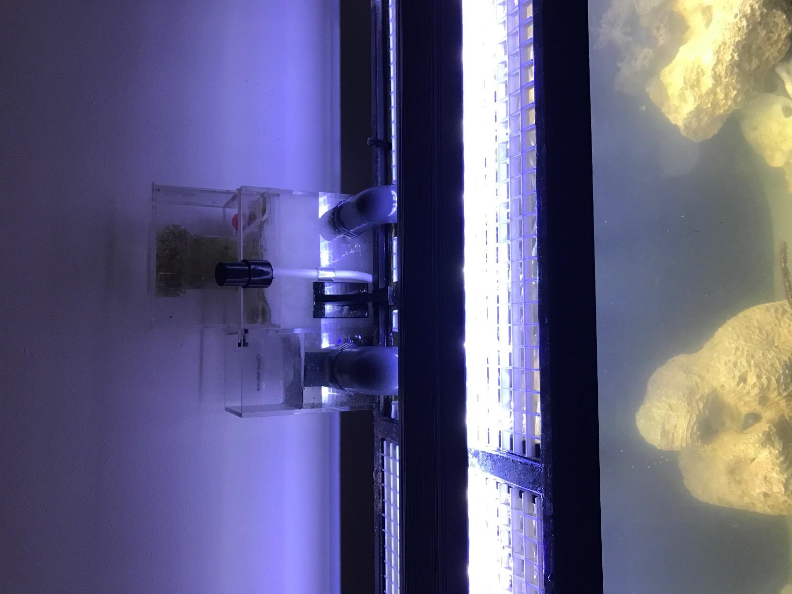 OCTO Classic BH-2000 Protein Skimmer customer photo 2