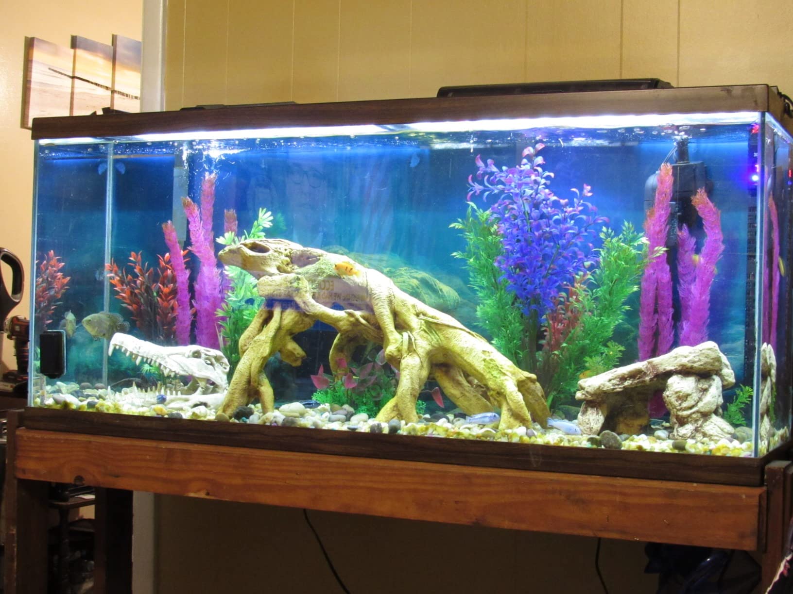 Fluval FX4 High Performance Aquarium Filter, up to 250 Gal. | Canister Filter for Aquariums customer photo 2