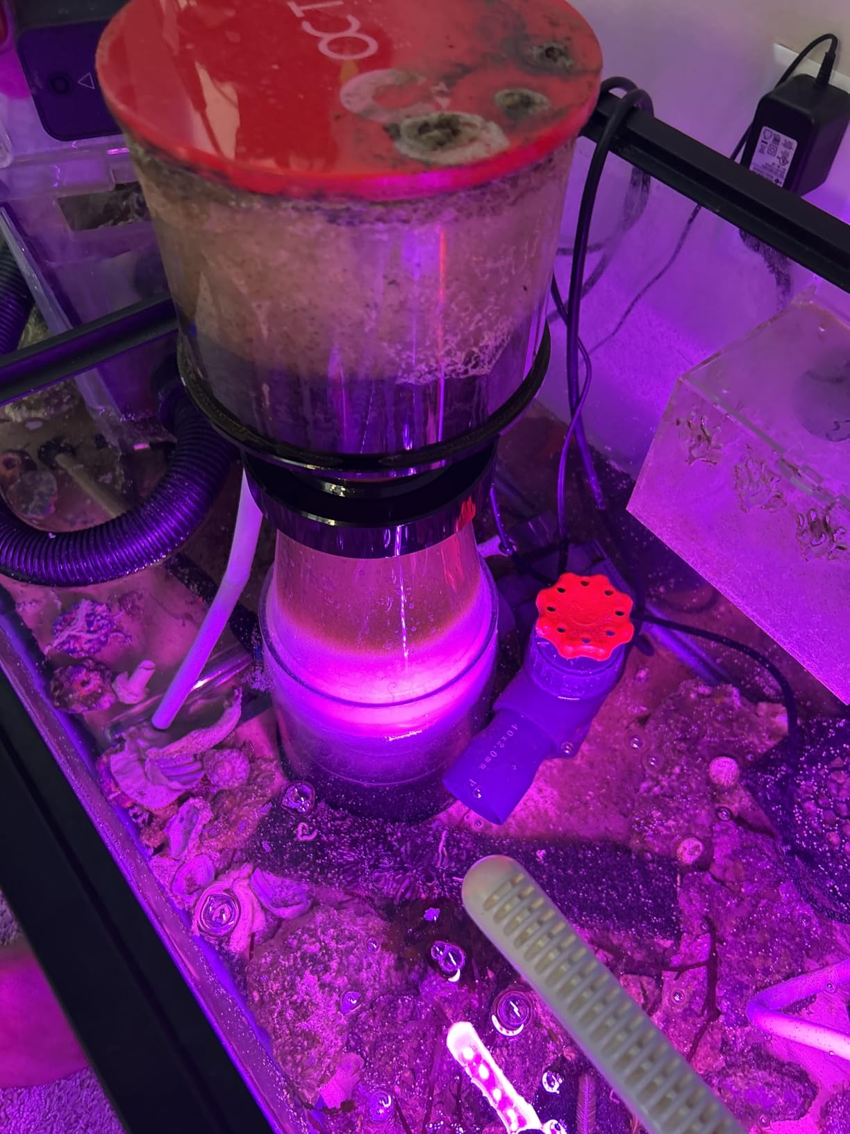 Reef Octopus Classic 150INT Protein Skimmer customer photo 2