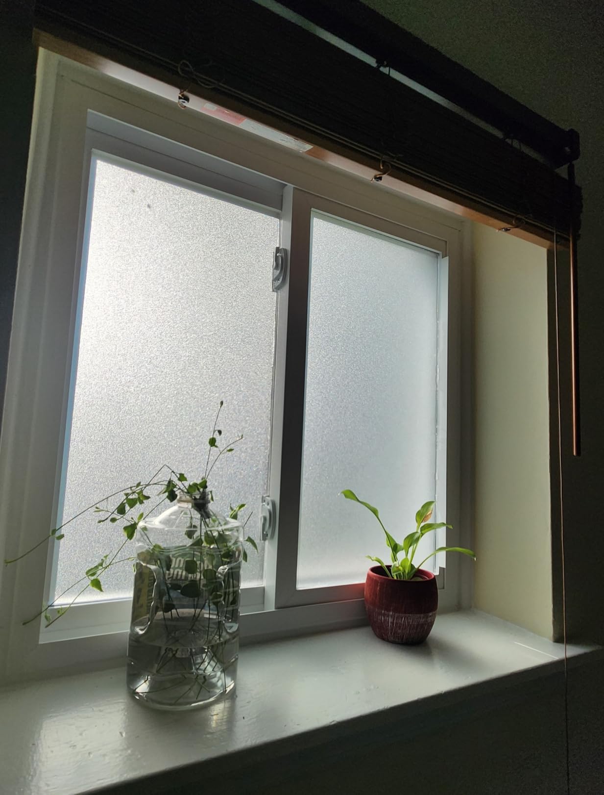 rabbitgoo Frosted Glass Window Privacy Film, Static Cling, 17.5