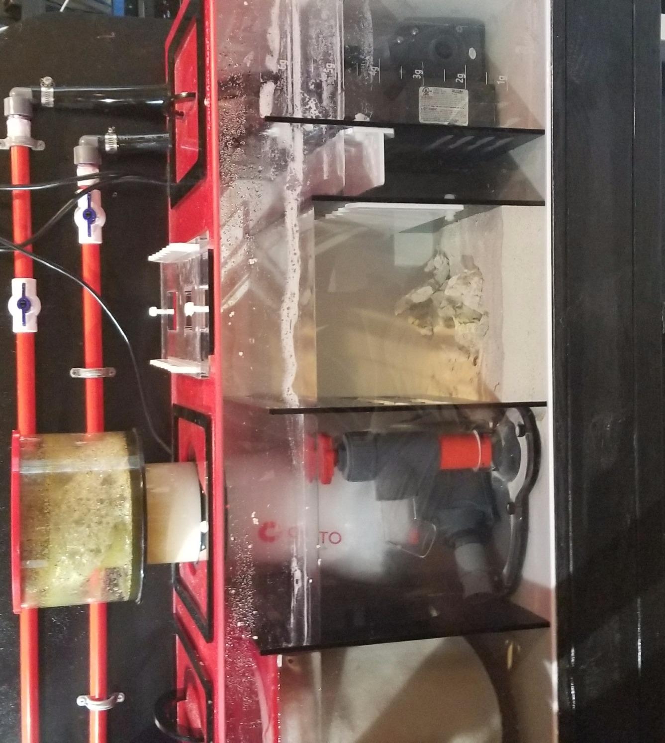 Reef Octopus Classic 202-S Protein Skimmer customer photo 1