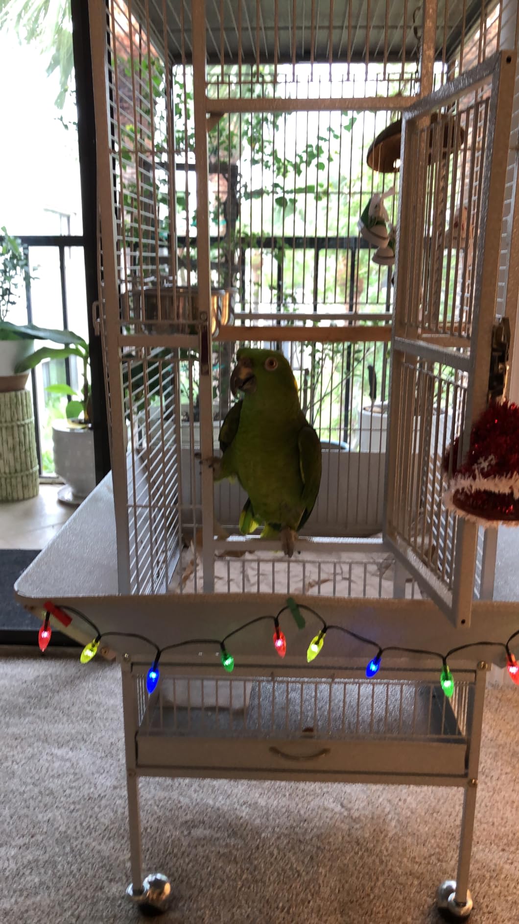 Yaheetech Wrought Iron Bird Cages, Play Top Large Aviary with Stand for Cockatiel Parrot Sun Parakeet Conures Lovebird Budgie Finch African Grey White, 61-inch customer photo 2