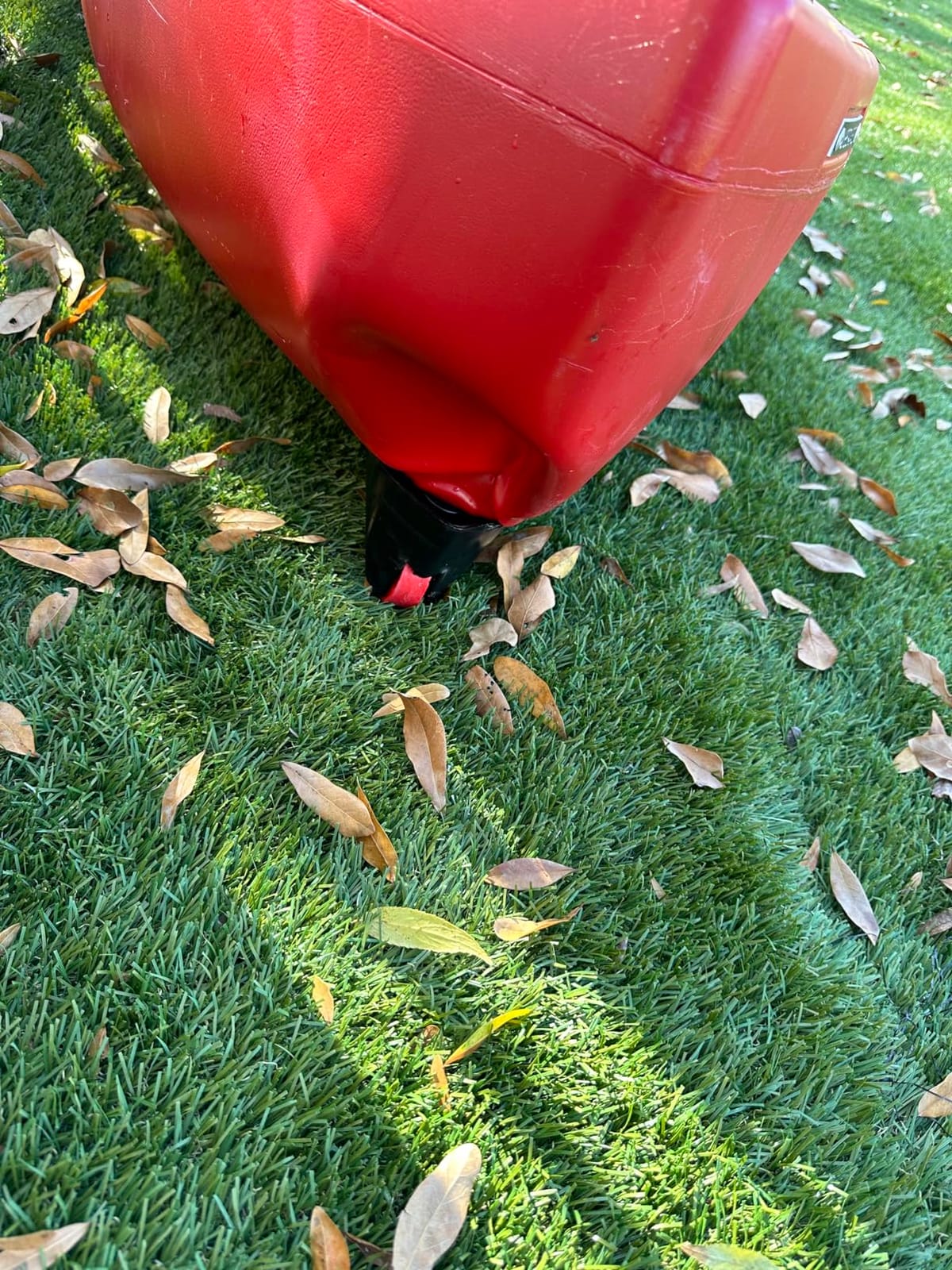 Lifetime Kodiak Canoe with 2 Paddles, Red, 13' customer photo 2