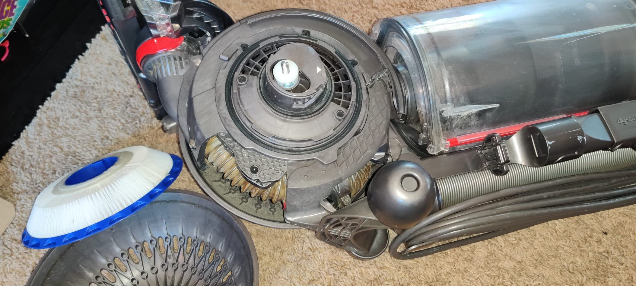Dyson Ball Animal Upright Vacuum - Corded customer photo 2