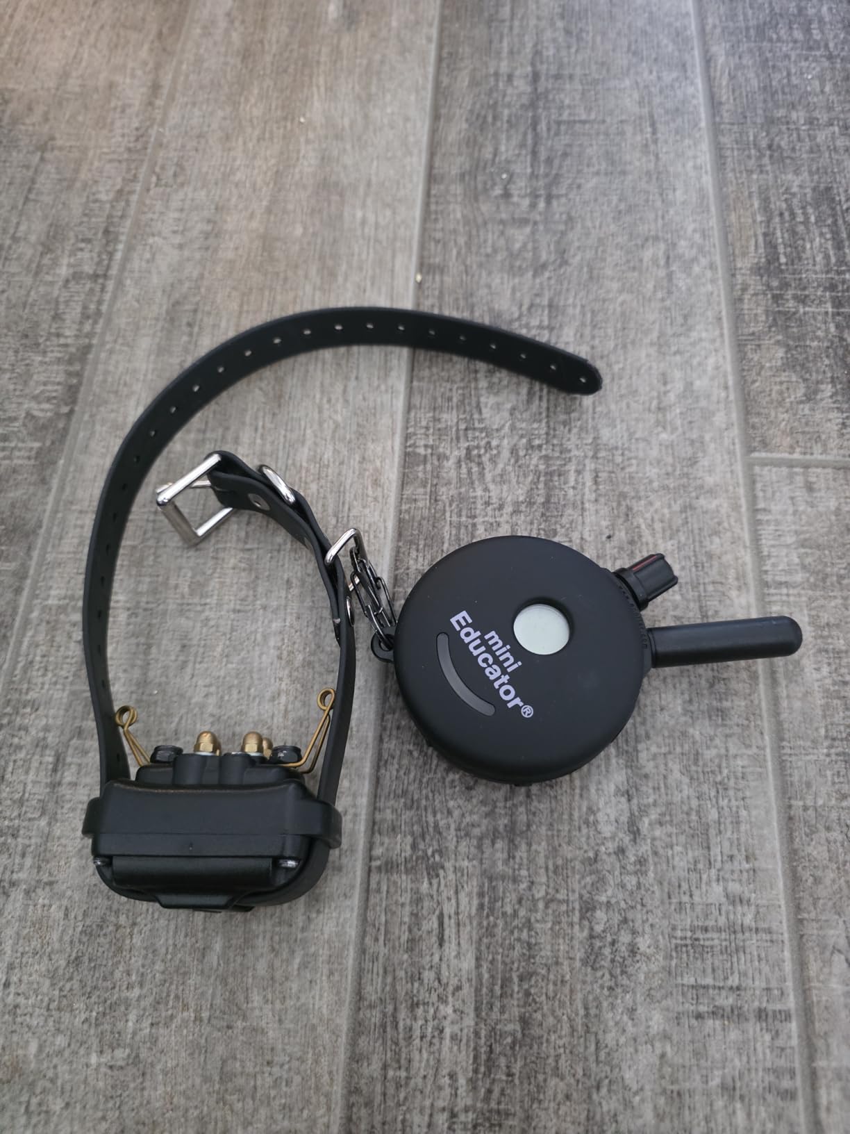 Educator ET-300 Mini E Collar for Dog Training with Remote - 1/2 Mile Range, Waterproof, 100 Blunt Stimulation Levels, Tone or Vibration Mode, Night Light Tracking for Small, Medium & Large Dogs customer photo 1