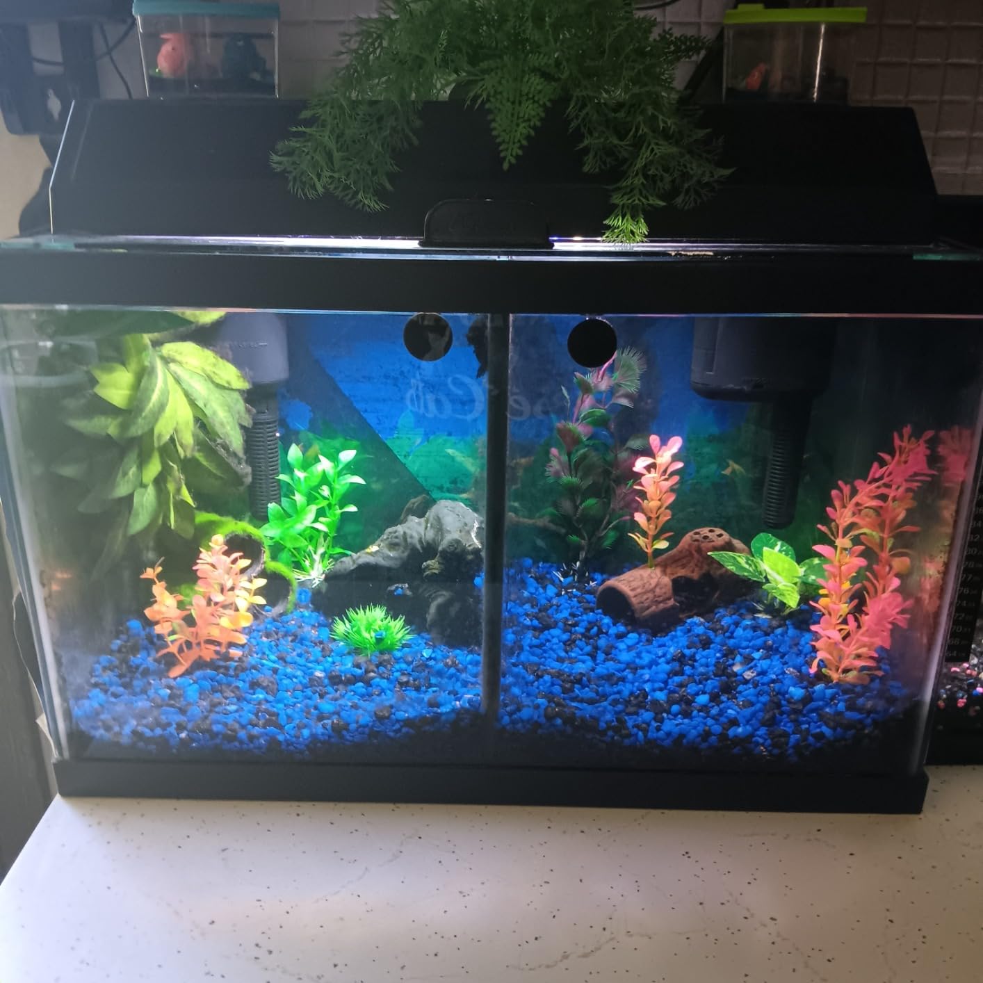 Tetra Whisper IQ 130 GPH Power Filter for Aquariums | For Fish Tanks Up To 20 Gallons, Whisper Quiet, Freshwater Or Marine Fish, Stay Clean Technology For Healthy pH Levels customer photo 1