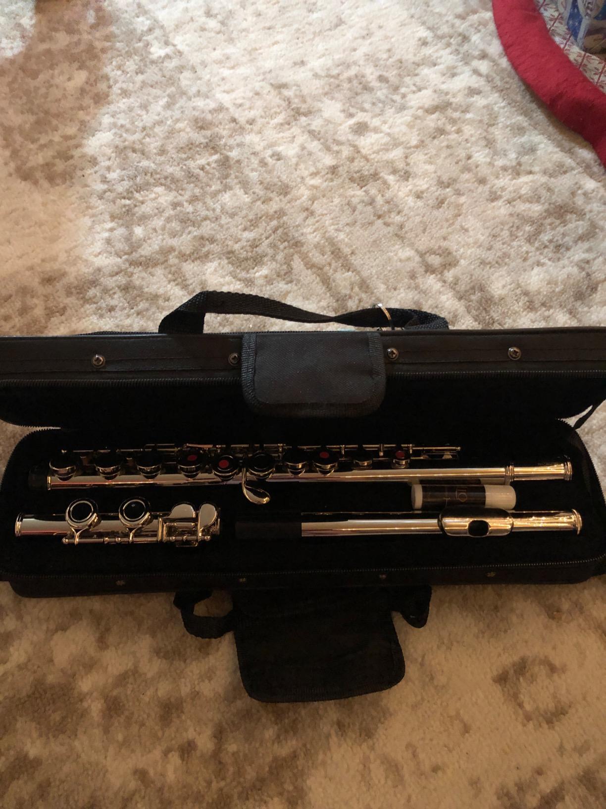 Mendini by Cecilio 16 Keys Closed Hole C Flute Kit for Beginners - Nickel customer photo 1