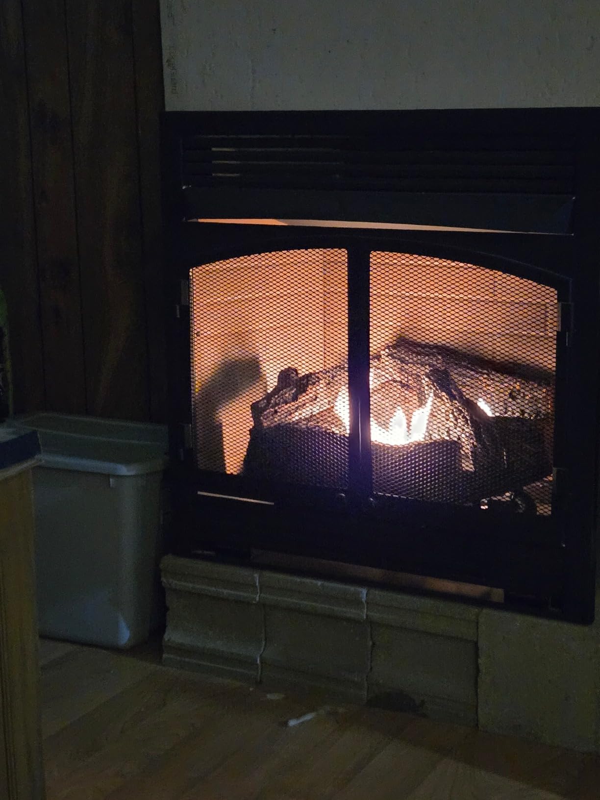 Duluth Forge Dual Fuel Ventless Gas Fireplace Insert - 32,000 BTU, T-Stat Control - Model# FDF400T-ZC customer photo 1