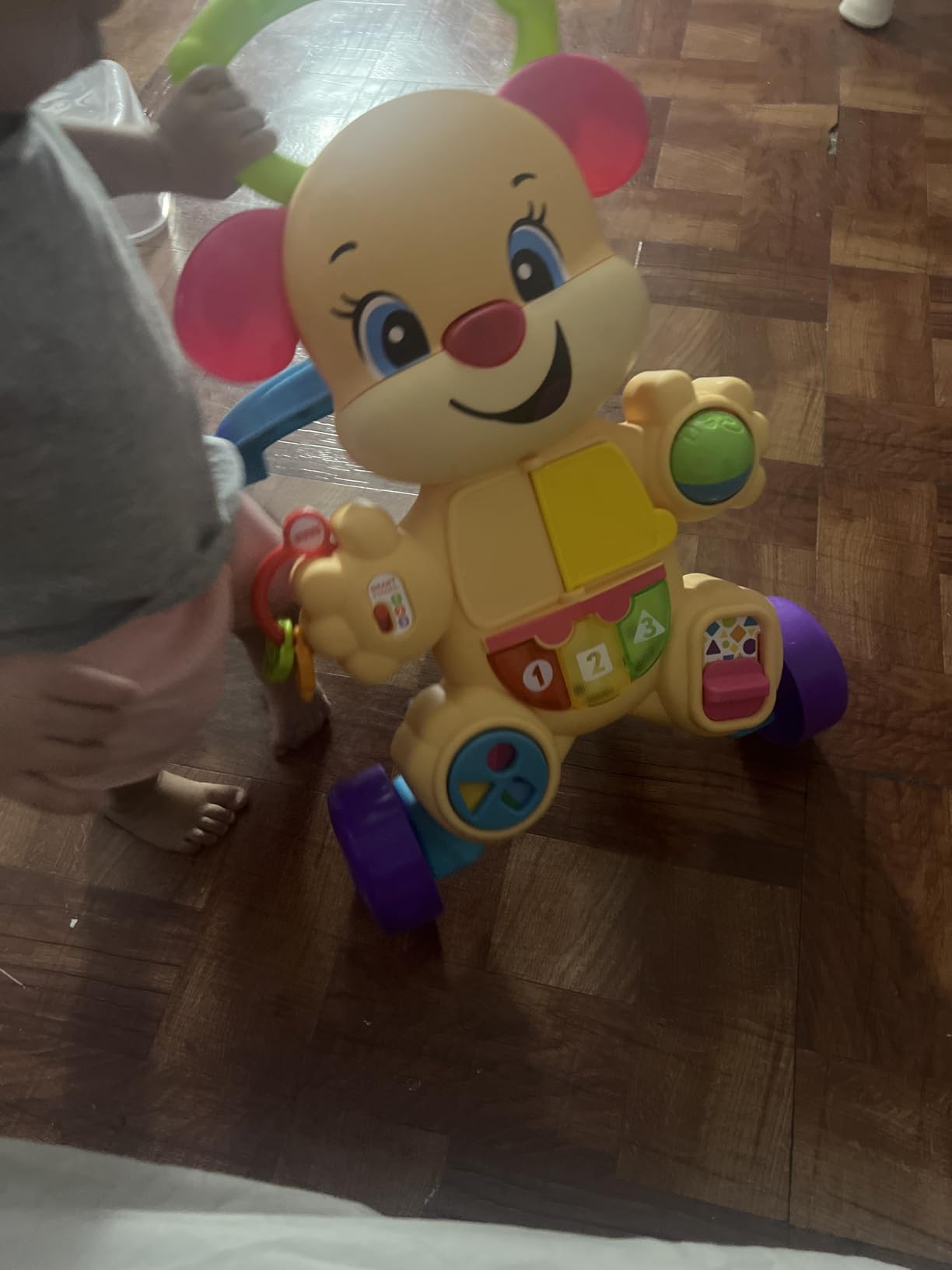 Fisher-Price Laugh & Learn Smart Stages Learn With Sis Walker, Pink customer photo 1