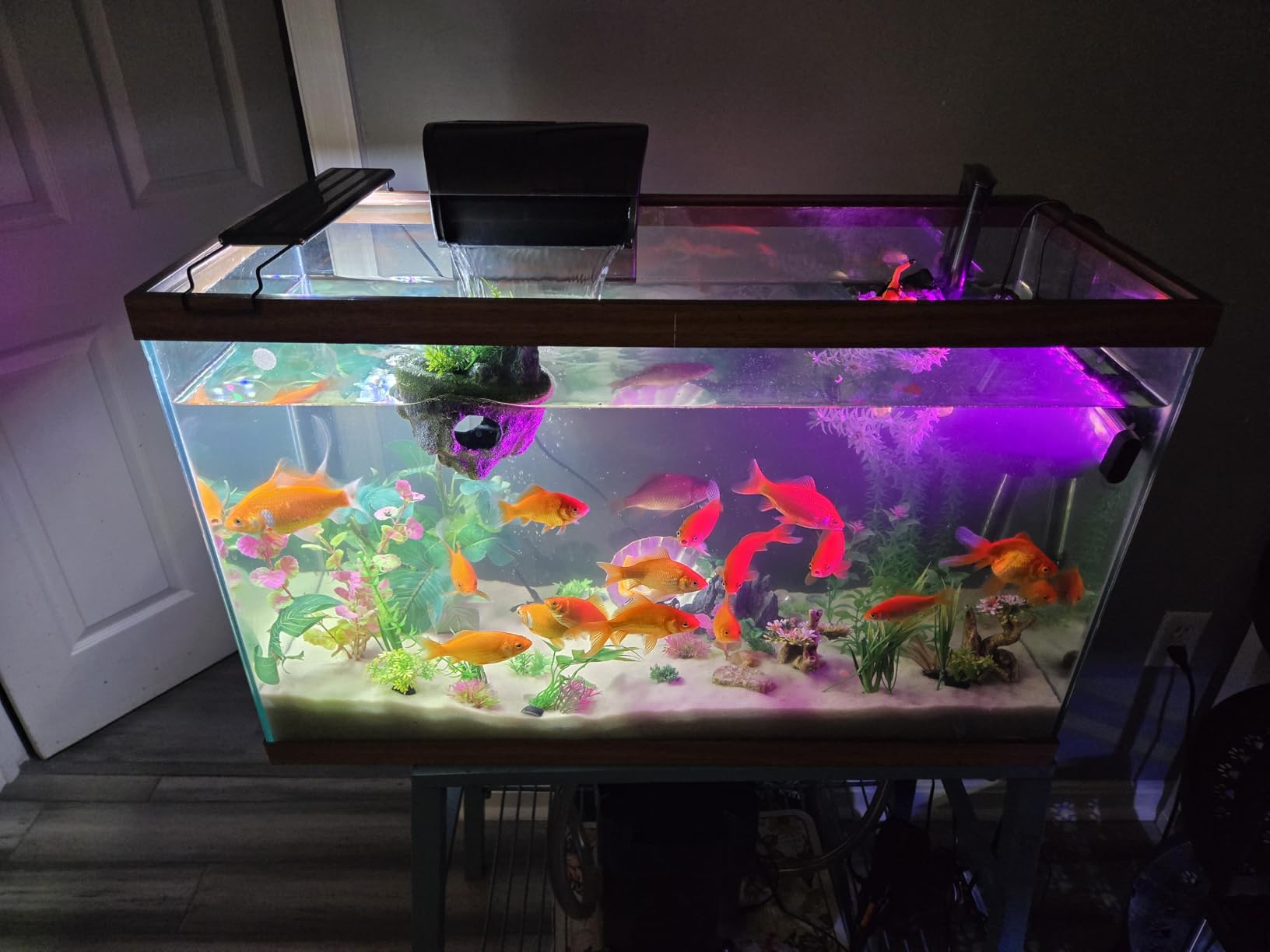 Aqueon QuietFlow Canister Aquarium Filter, Up to 55 Gallons (ECOM) | 55 gallon fish tank filter with biological, chemical and mechanical stages, spray bar and polishing unit customer photo 2