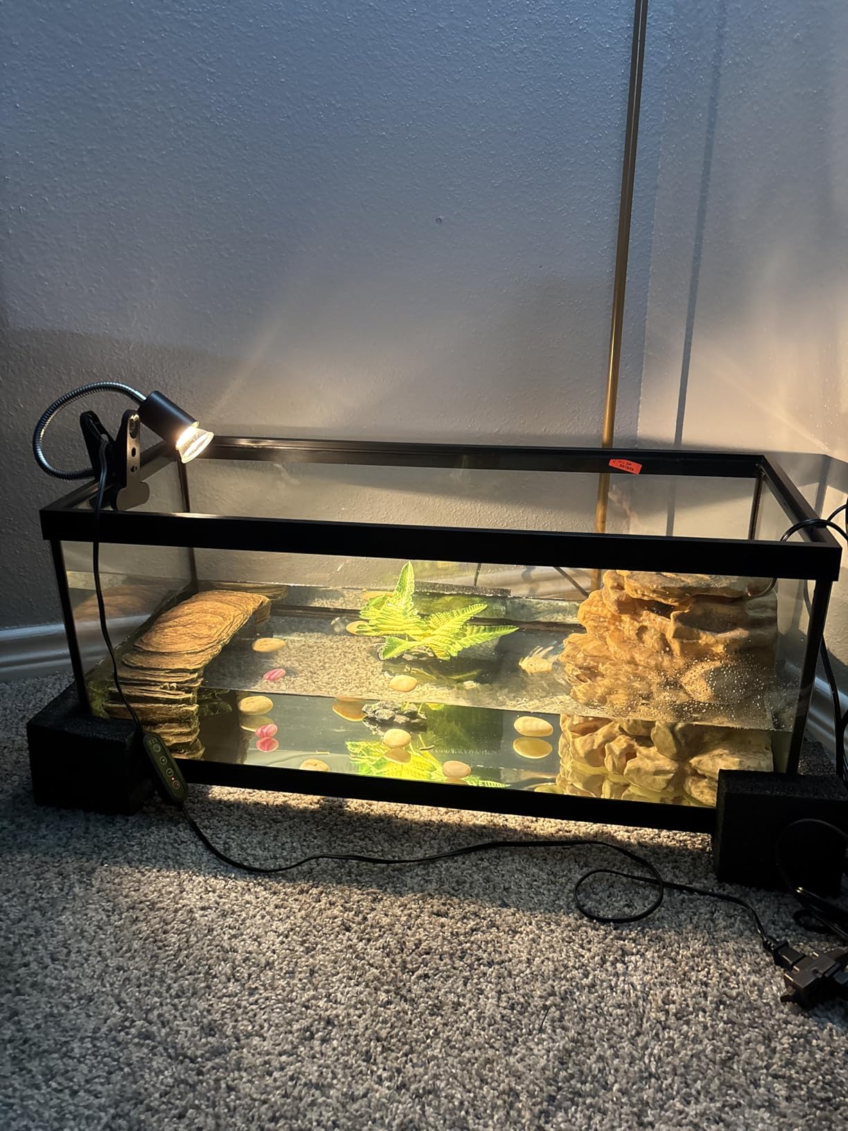 Tetra 20 Gallon Deluxe Aquarium Kit for Aquatic Turtles | Includes 2 Heat Lamps, 20 Gallon Glass Tank With Screen, Decorative Water Filter With Cartridges, Basking Platform, Plant customer photo 2