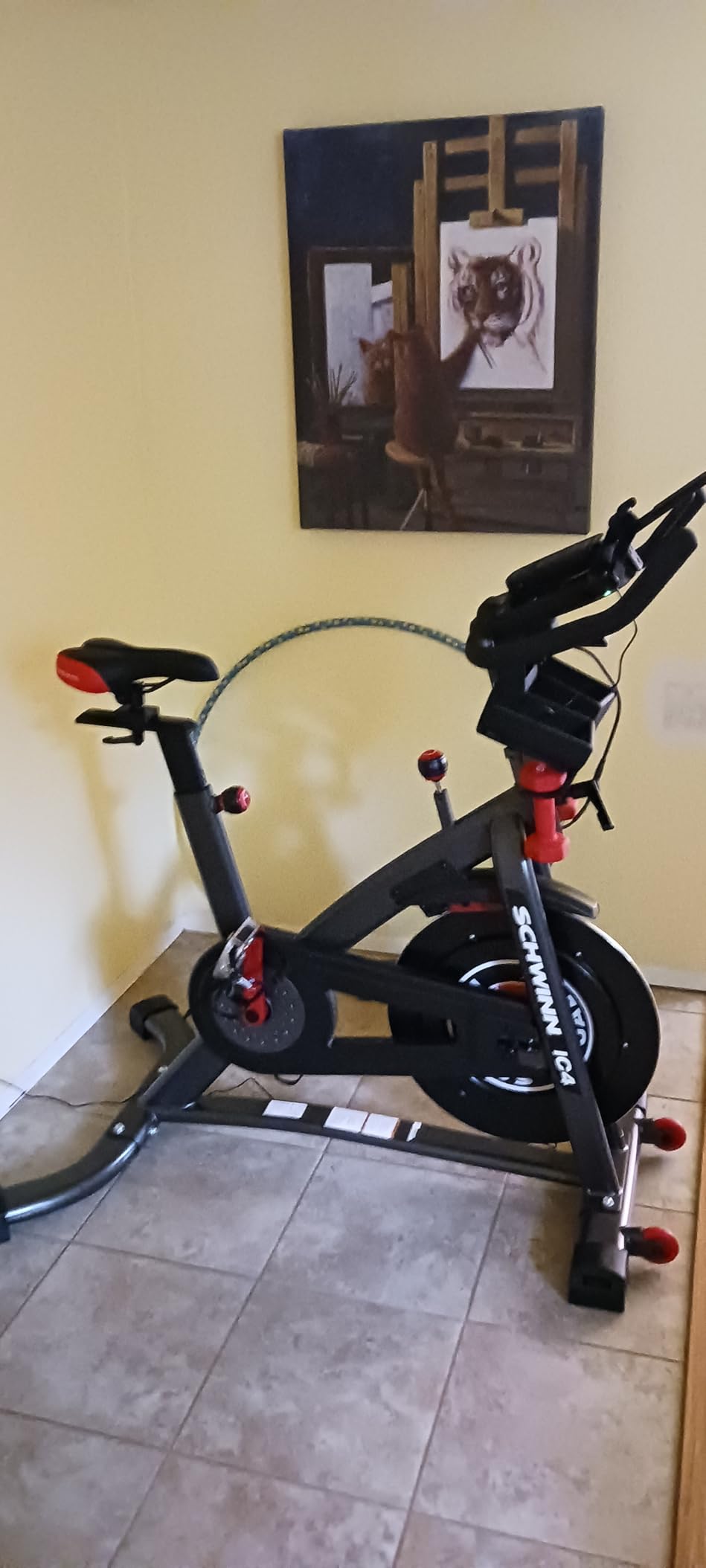 Schwinn Fitness IC Indoor Cycling Bike Series customer photo 2