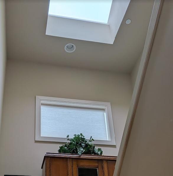 BlindsAvenue Cordless Cellular Shade, White, 30