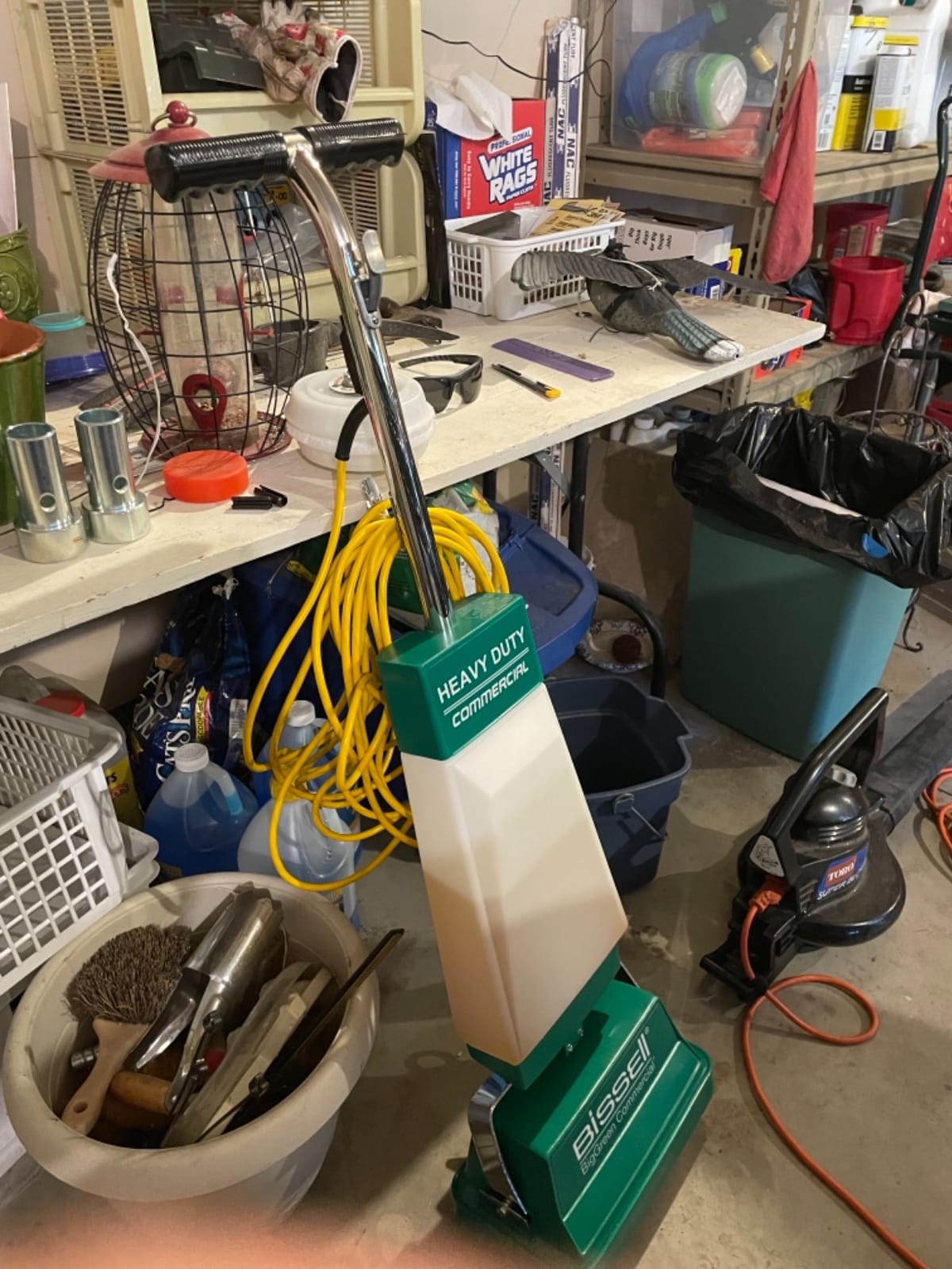 Bissell BigGreen BGFS5000 Portable Two Brush Floor Scrubber & Polisher, 13