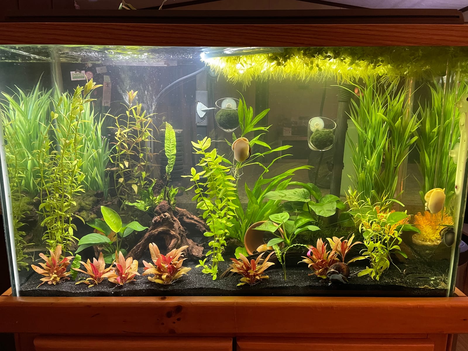 Fluval Aquasky 2.0 Bluetooth LED Aquarium Light, 18W, 24-36