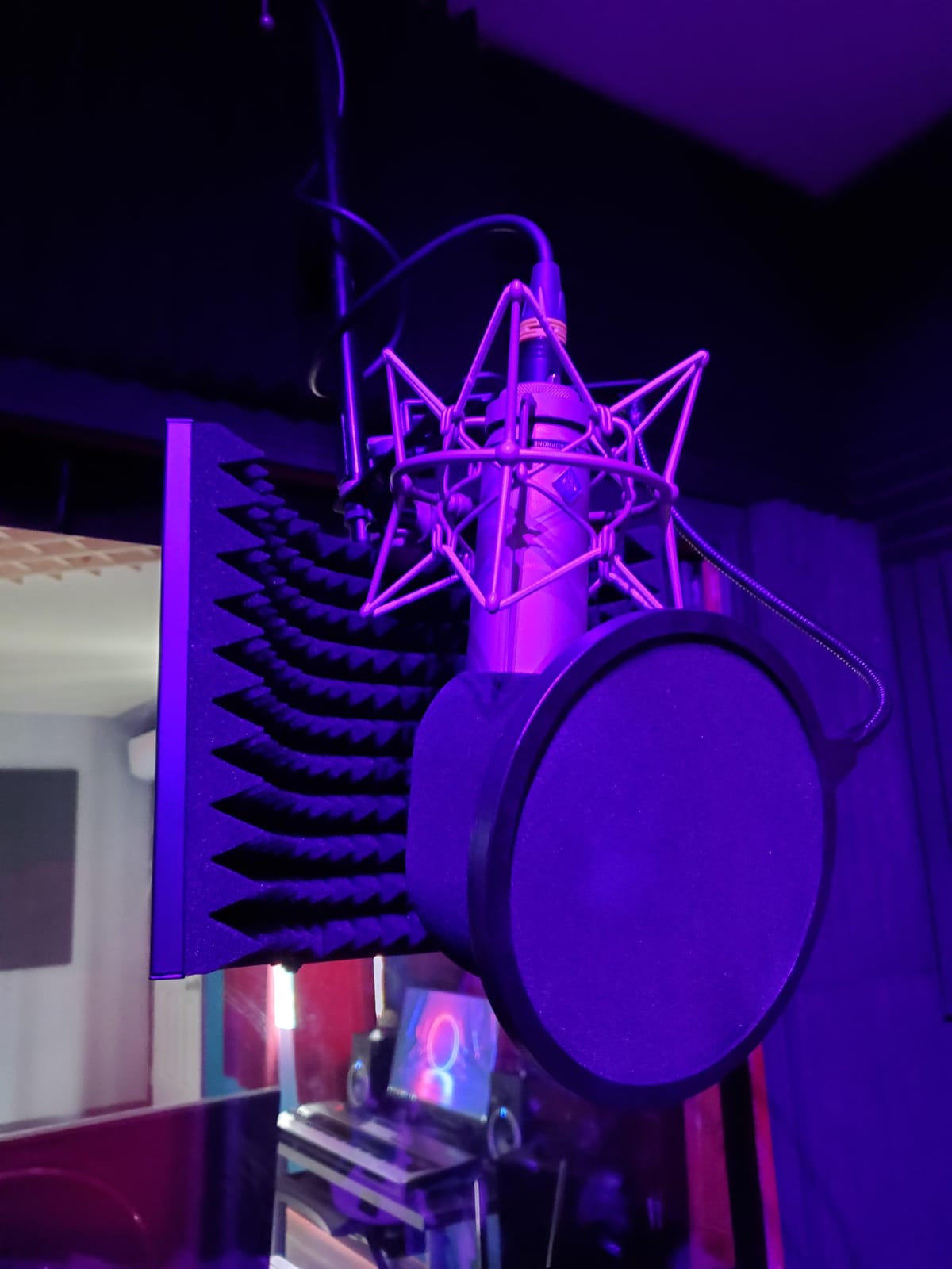 Aokeo Professional Studio Recording Microphone Isolation Shield, Suitable for Blue Yeti and Any Condenser Microphone Recording Equipment (AO-403) customer photo 1