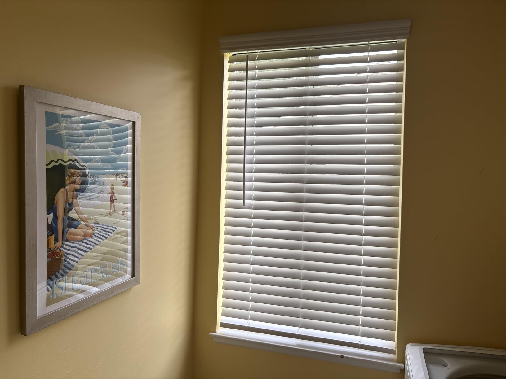 ARLO BLINDS 2
