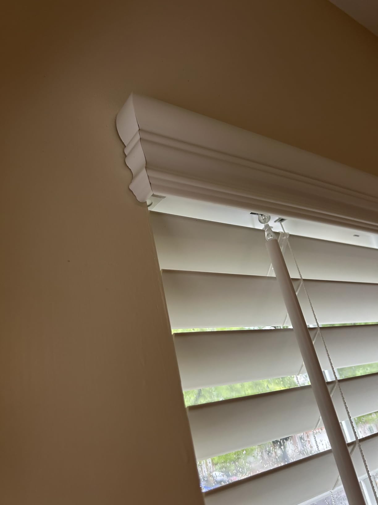 ARLO BLINDS 2