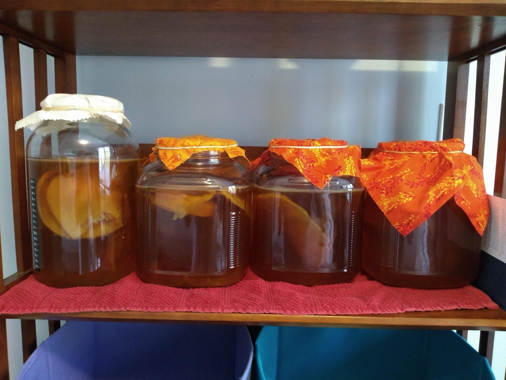 Starter Kit - Includes Organic SCOBY, Starter Liquid, 1 Gallon Glass Jar, Temp Gauge, Tea, and Sugar customer photo 1