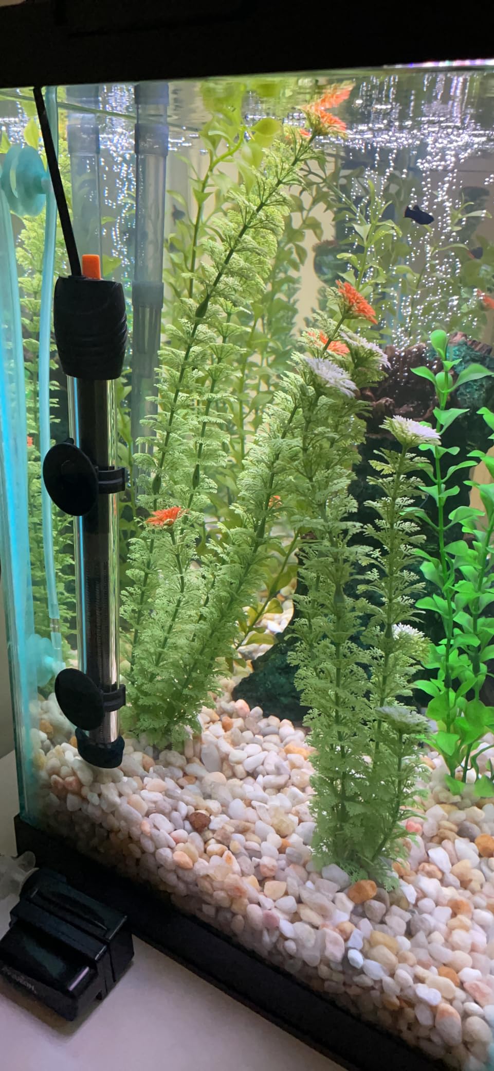 Orlushy Submersible Aquarium Heater, Adjustable Fish Tank Heater with Free Thermometer customer photo 1