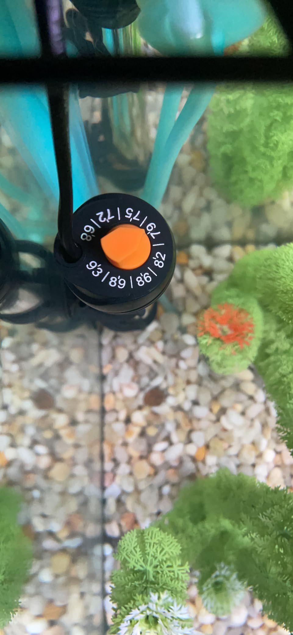 Orlushy Submersible Aquarium Heater, Adjustable Fish Tank Heater with Free Thermometer customer photo 2