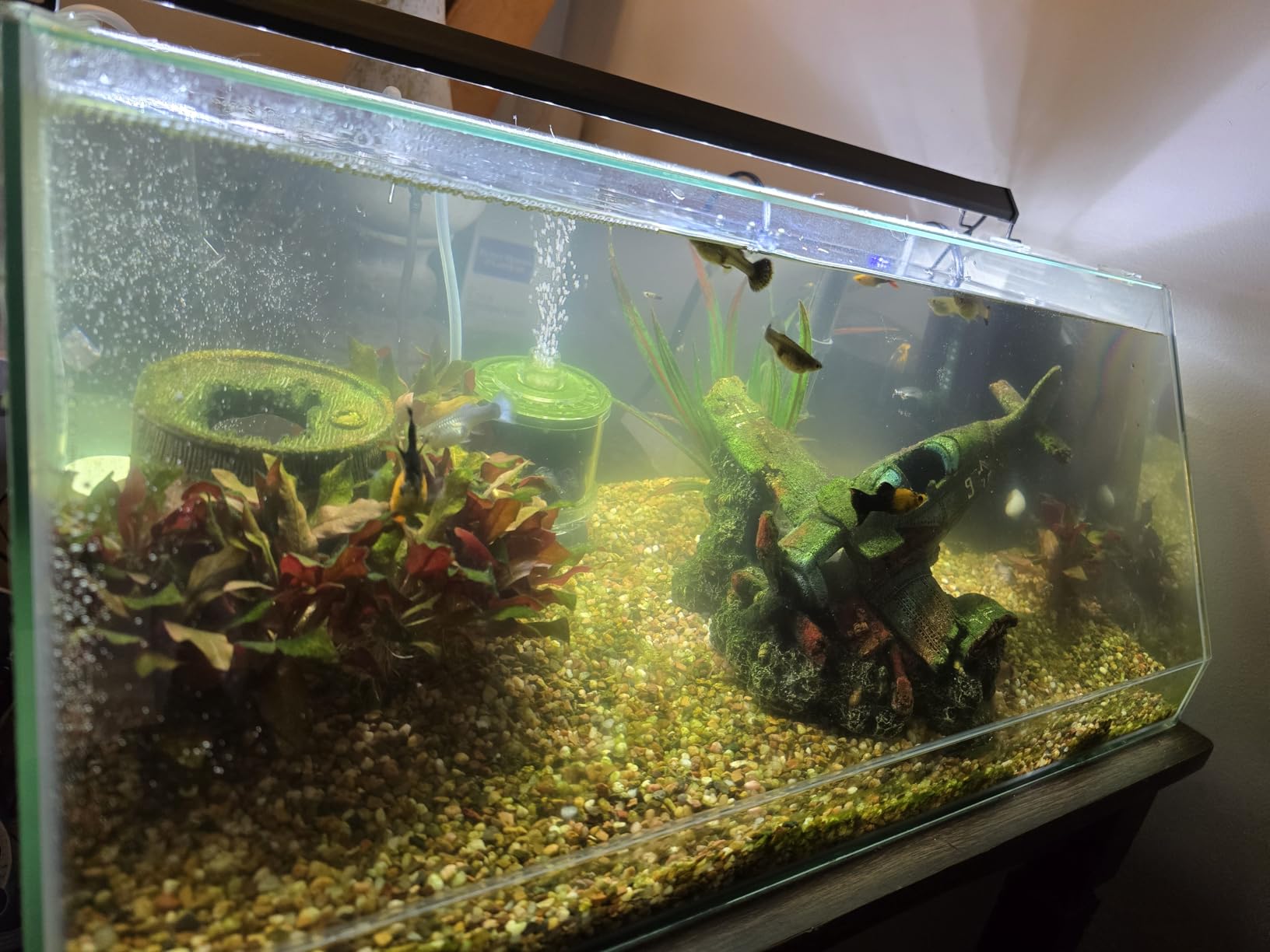 Seachem Tidal Filter, 35 gal. (135 L) NA 120 V, 60 Hz, US, 2P customer photo 1